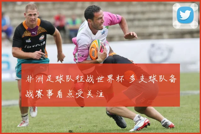 非洲足球队征战世界杯 多支球队备战赛事看点受关注