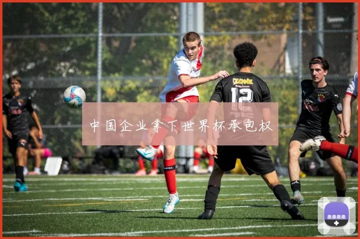 中国企业拿下世界杯承包权