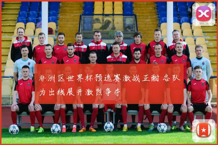 非洲区世界杯预选赛激战正酣 各队为出线展开激烈争夺